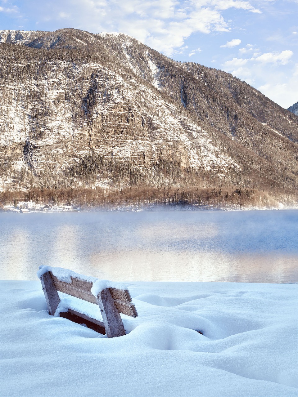 Bankas, Žiema, Ežeras, Hallstatt, Žiemą, Žiemos Magija, Snieguotas, Sniegas, Stendas, Prisnigo Į