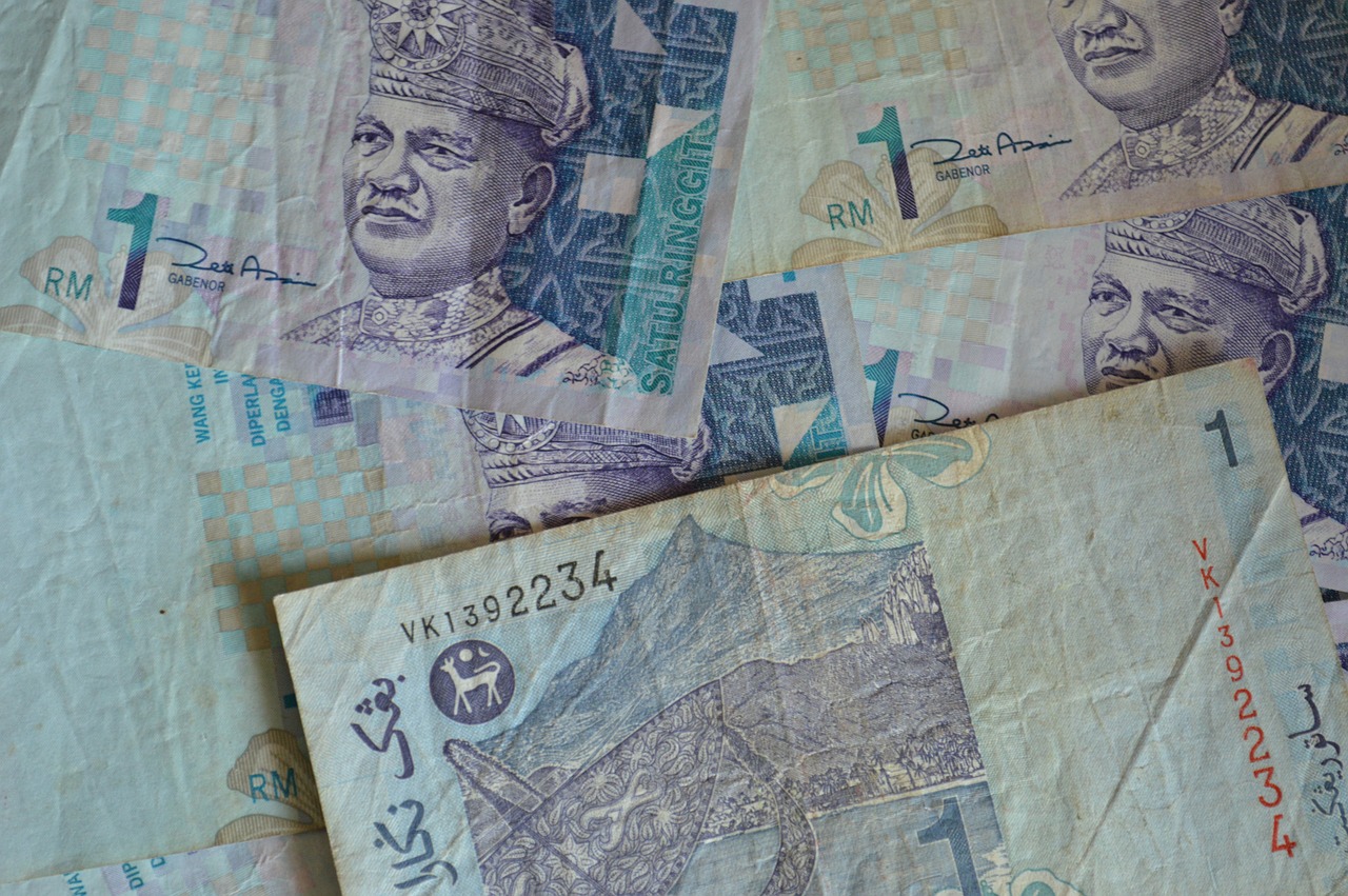 Banknotai, Malaizija, Sąskaitos, Valiuta, Popieriniai Pinigai, Pinigai, Pinigai, Bankas, Indija, Turtas