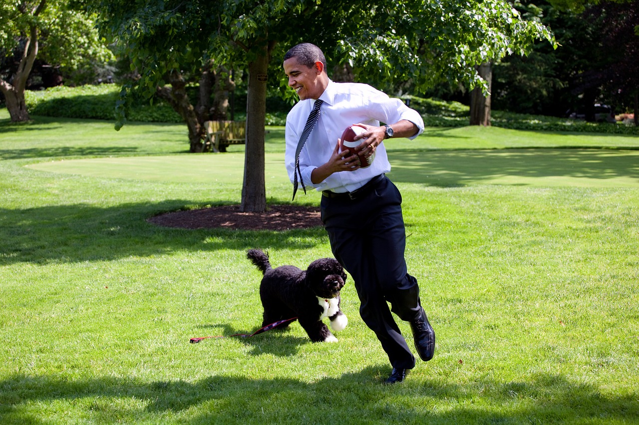 Barack Obama Ir Bo, 2009, Žaisti, Paleisti, Bo Yra Šeimos Šuo, Portugalų Vandens Šuo, Obama Šypsosi, Šypsena, Atsipalaidavimas, Atsipalaidavęs