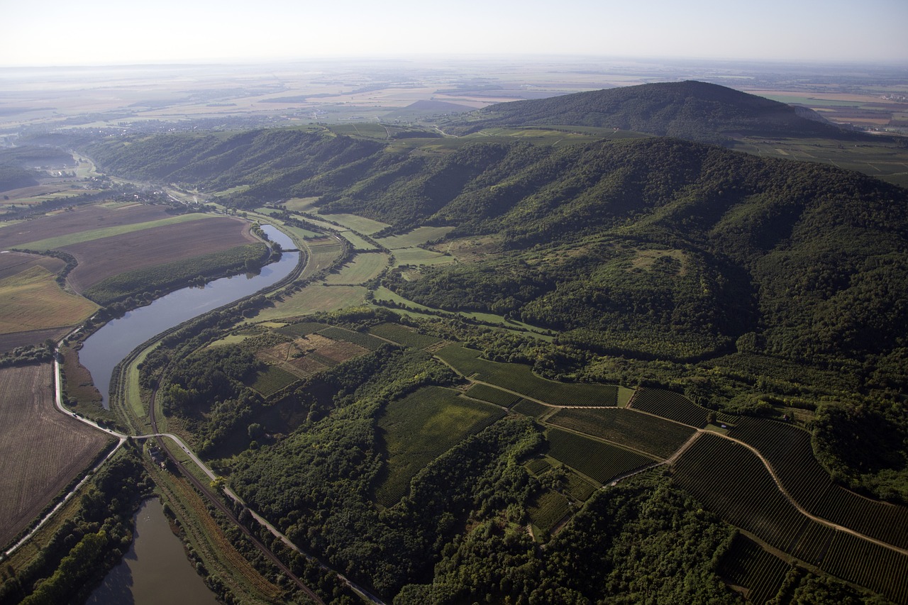 Baranya, Villány, Vynuogė, Spaudos Namai, Plantacija, Vynuogynas, Žalias, Vyno Regionas, Peizažai, Villany Kalvos