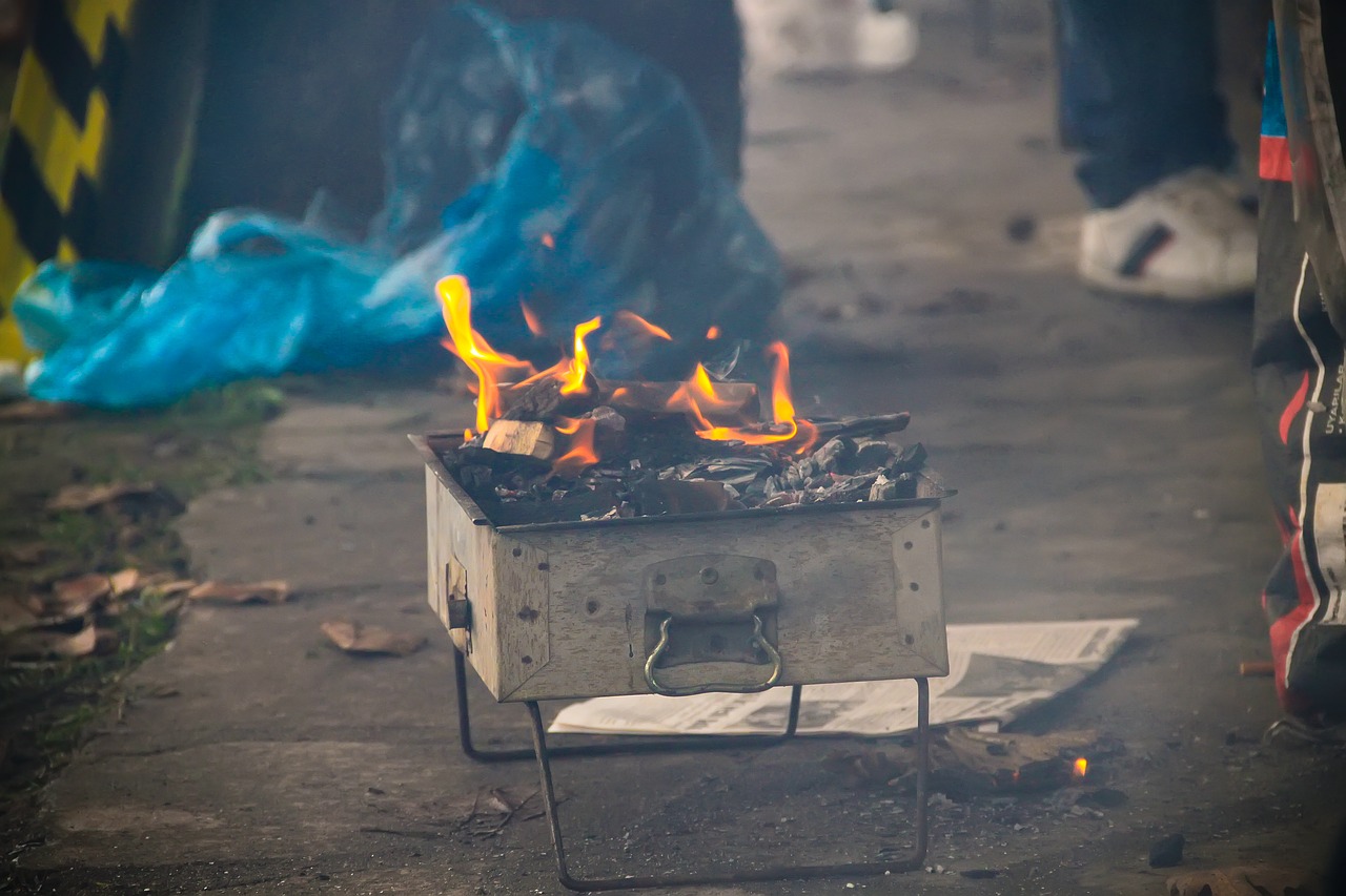 Barbekiu, Anglis, Iškylai, Vištiena, Angelai, Pipirai, Pomidoras, Ali, Oranžinė, Dūmai