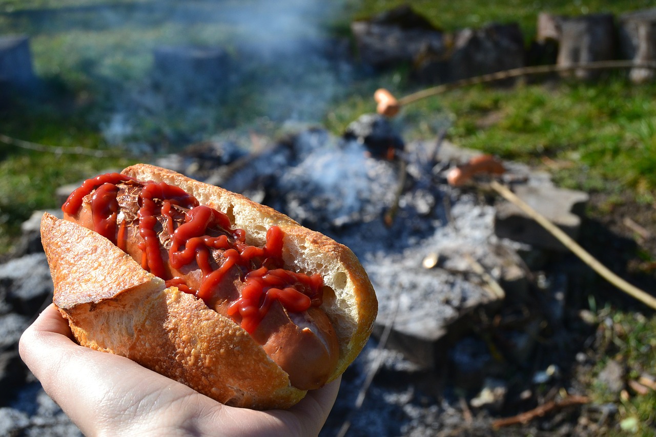 Barbekiu, Dešrainis, Židinys, Dešra, Duona, Kečupas, Raudona, Nemokamos Nuotraukos,  Nemokama Licenzija