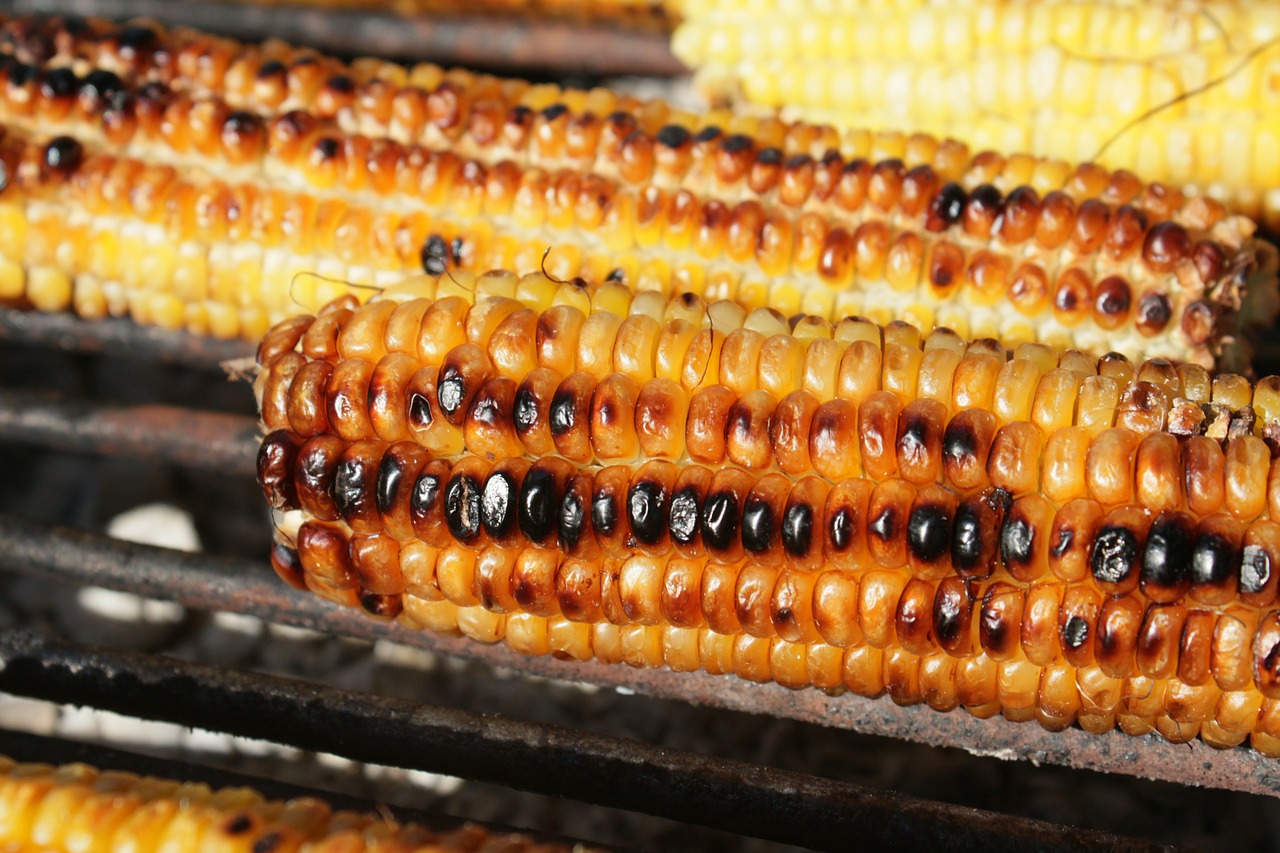 Barbekiu, Kukurūzai, Šviežias, Grilis, Kepti Ant Grotelių, Sveikas, Saldus, Maistas, Gerti, Sveikata