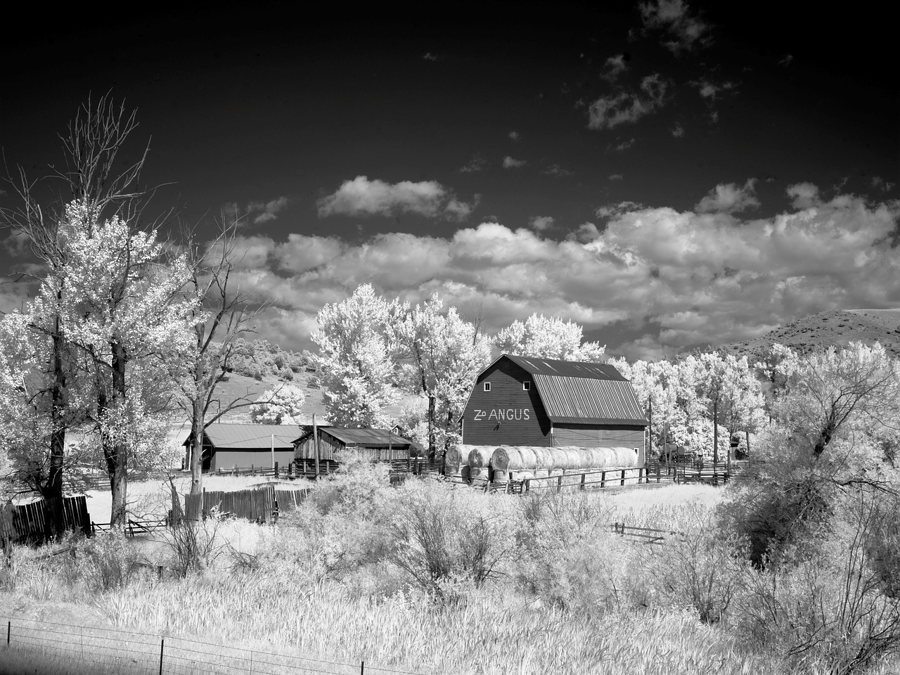 Tvartas, Montana, Stadl, Amerikietis, Ūkis, Šiaurės Amerika, Usa, Žemdirbystė, Kaimiškas, Kaimas