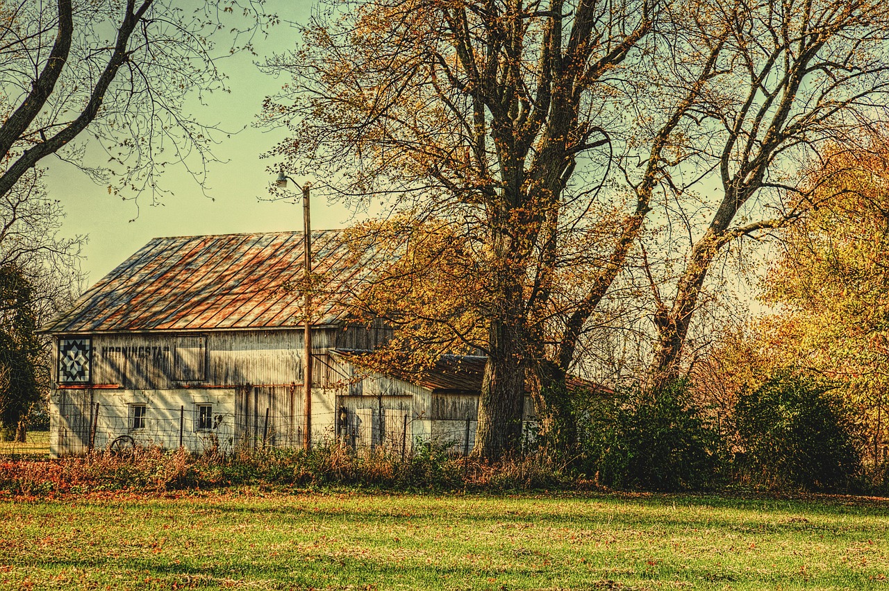 Tvartas, Kaimiškas, Barniai, Ohio, Skaitmeninis Menas, Kaimas, Vaizdingas, Šalis, Kaimas, Peizažas