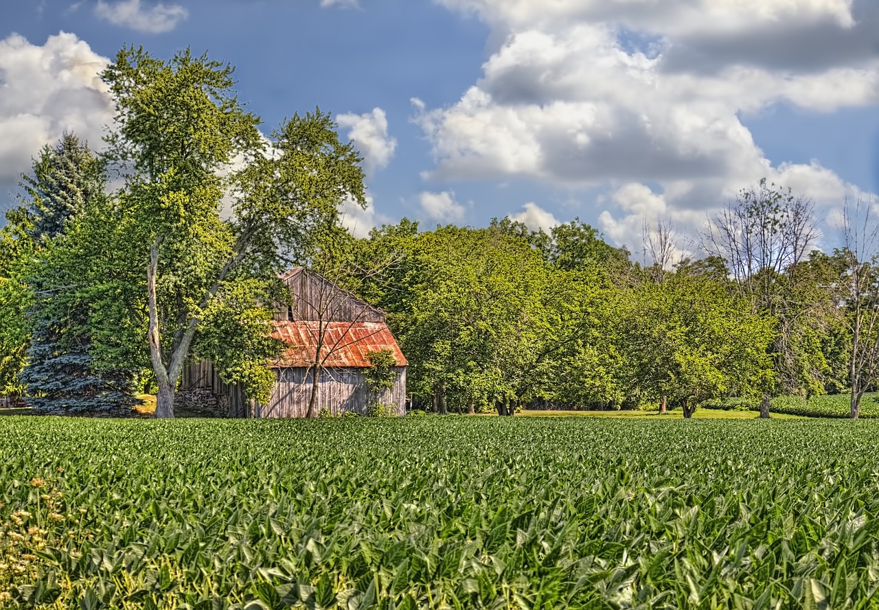 Tvartas, Kaimiškas, Barniai, Ohio, Skaitmeninis Menas, Kaimas, Vaizdingas, Šalis, Kaimas, Peizažas