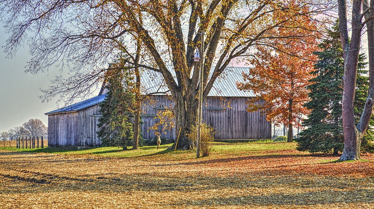 Tvartas, Kaimiškas, Barniai, Ohio, Skaitmeninis Menas, Kaimas, Vaizdingas, Šalis, Kaimas, Peizažas