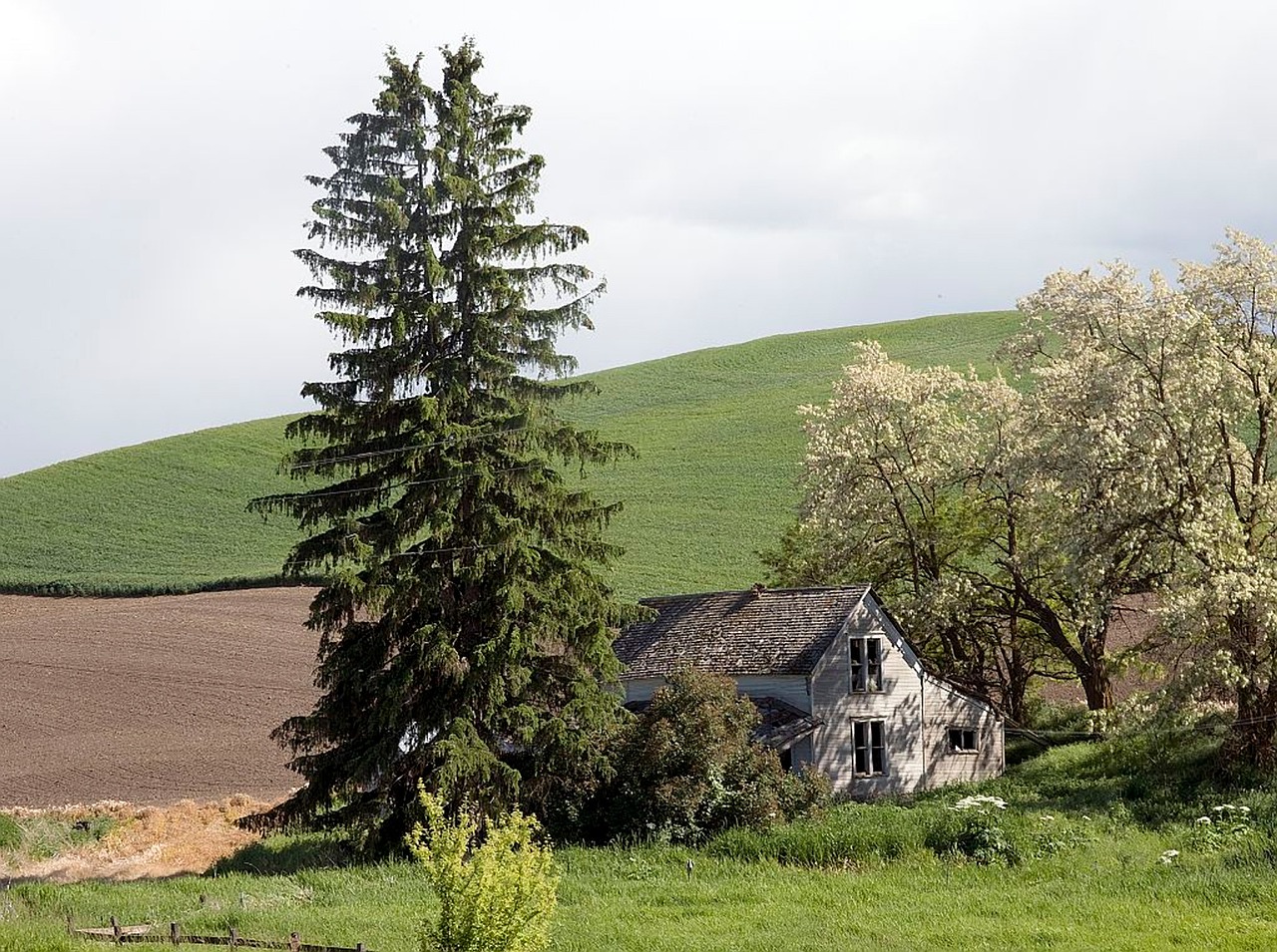 Tvartas, Senas, Paliktas, Idaho, Kraštovaizdis, Kalnas, Laukas, Ūkis, Šalis, Kaimas