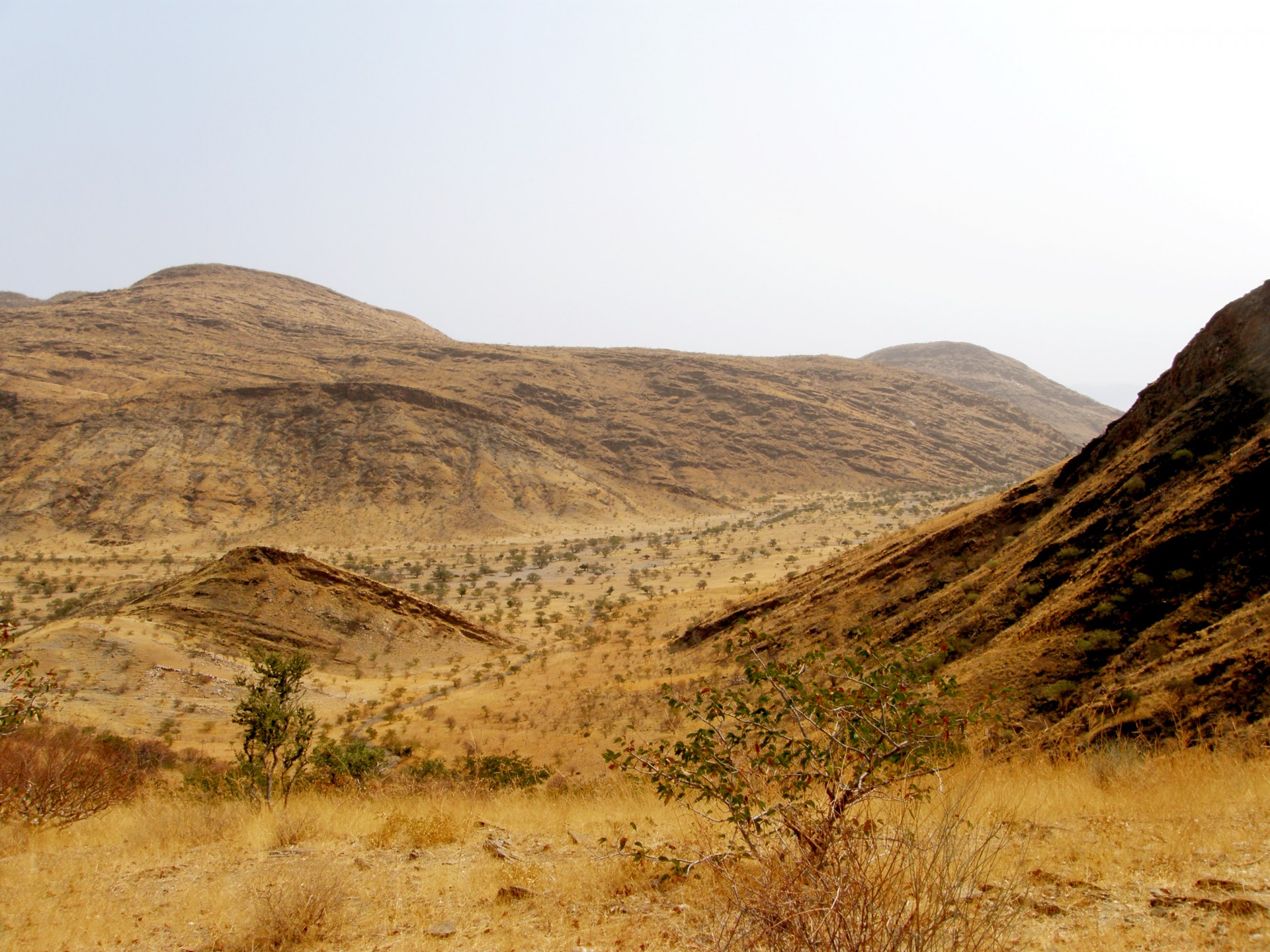 Kalnas,  Kalvotas,  Kalvos,  Sausas,  Plikas,  Nevaisinga,  Kietas,  Akmeninis,  Uolingas,  Hillside