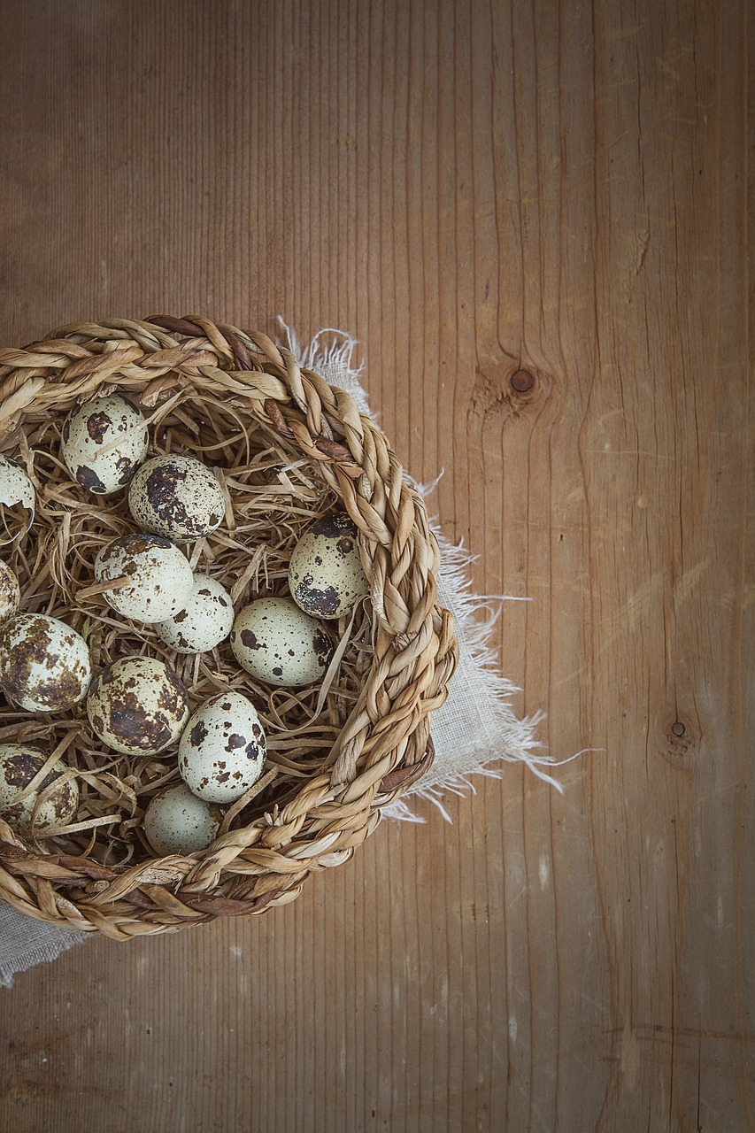 Krepšelis, Kiaušinis, Pledų Kiaušiniai, Mažas, Maži Kiaušiniai, Natūralus Produktas, Uždaryti, Mediena, Teksto Laisvė, Neigiama Erdvė