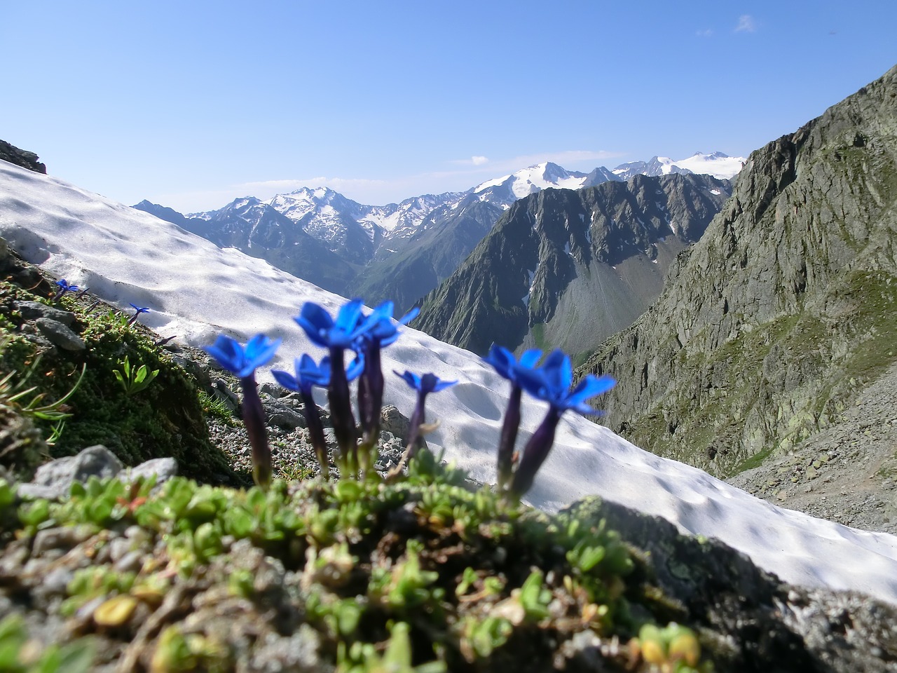 Boslerio Jungas, Stubai Aukščio Takas, Alpių, Stubai, Kalnai, Kraštovaizdis, Höhenweg, Panorama, Sniego Sniegas, Gentian