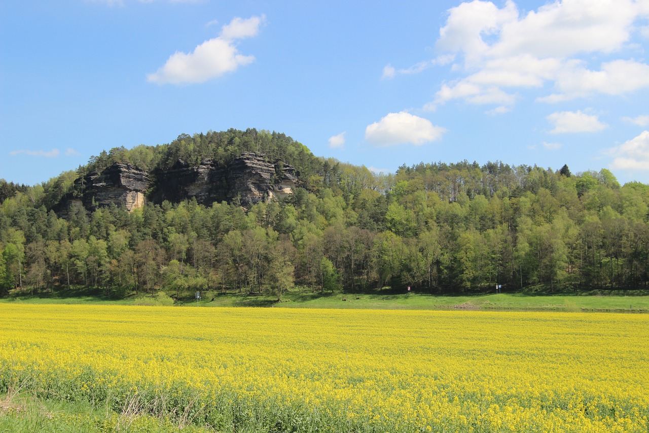 Bastei,  Smiltainis,  Rokas,  Rapsų Sėklos,  Geltona Laukas,  Gėlių Laukas,  Mėlynas Dangus,  Europa,  Vokietija,  Idiliškas