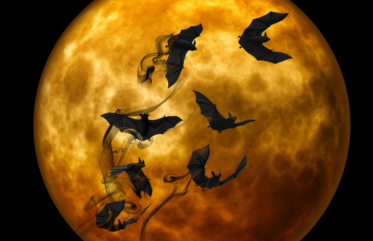 Šikšnosparnis, Naktis, Creepy, Tamsa, Mistinis, Niūrus, Mėnulio Šviesa, Baugus, Nuotaika, Atmosfera