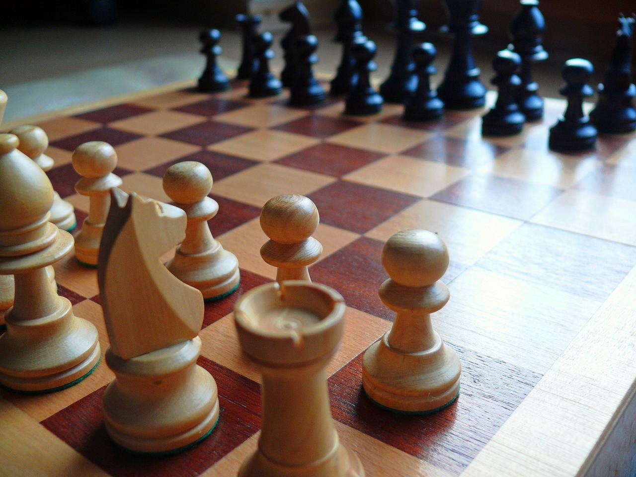 Šachmatai, Šachmatų Lenta, Šachmatų Figūros, Patikrinta, Šachmatų Žaidimas, Juoda, Žaisti, Karalių Žaidimas, Žaidėjai, Springeris