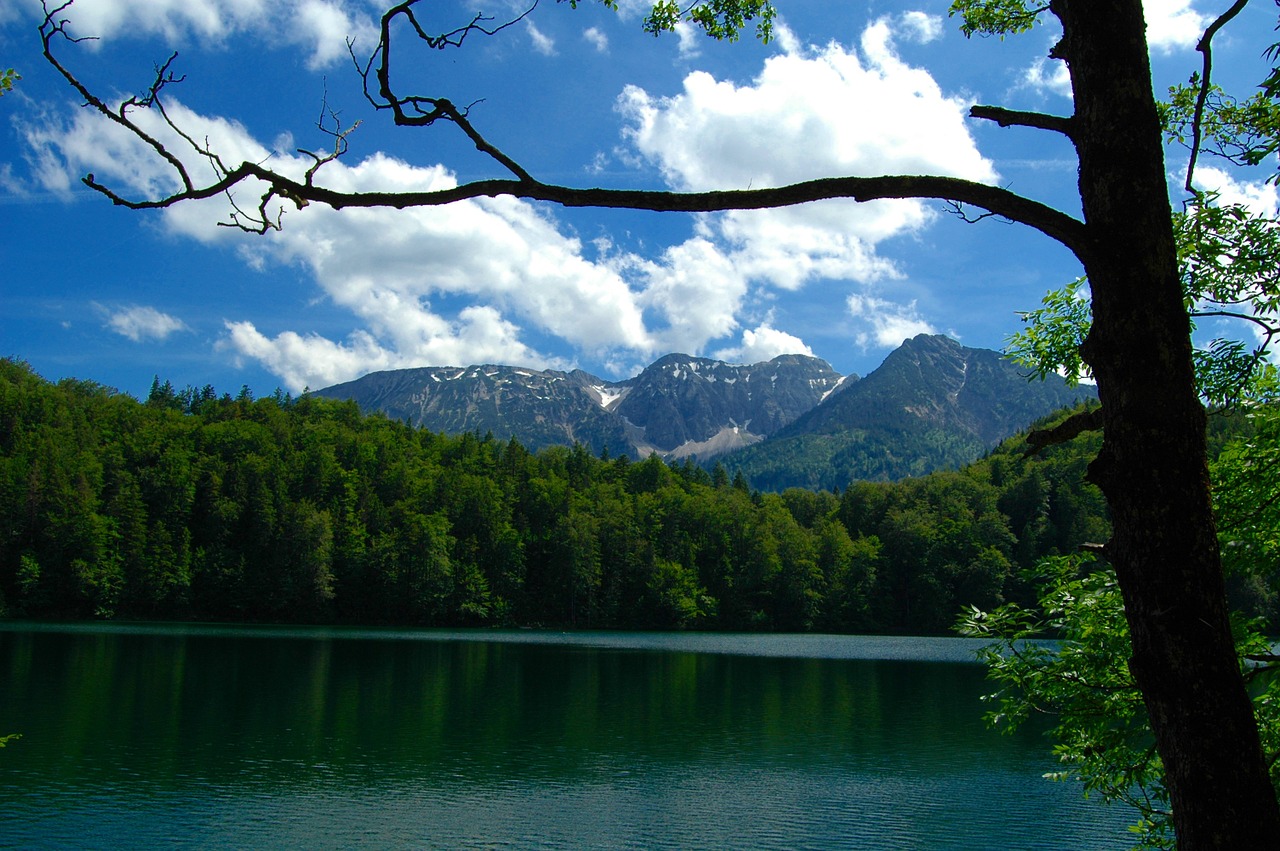 Bavarija, Füssen, Alatsee, Ežeras, Vokietija, Gamta, Alpių, Kraštovaizdis, Kelionės Tikslas, Oy Mittelberg