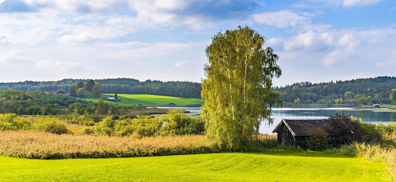 Bavarija, Žemės Ūkio, Namelis, Rąstinis Namelis, Žemdirbystė, Kraštovaizdis, Gamta, Laukas, Skalė, Tvartas