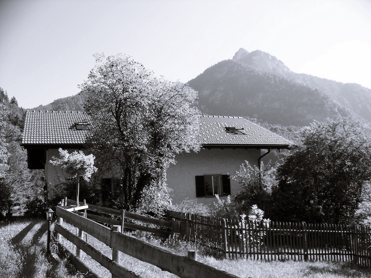 Bavarija,  Berchtesgadener Žemę,  Schnelzlreuth,  Ūkis,  Alpine Žygiai,  Kelionėse,  Juoda Ir Balta Fotografija,  Trs, Nemokamos Nuotraukos,  Nemokama Licenzija