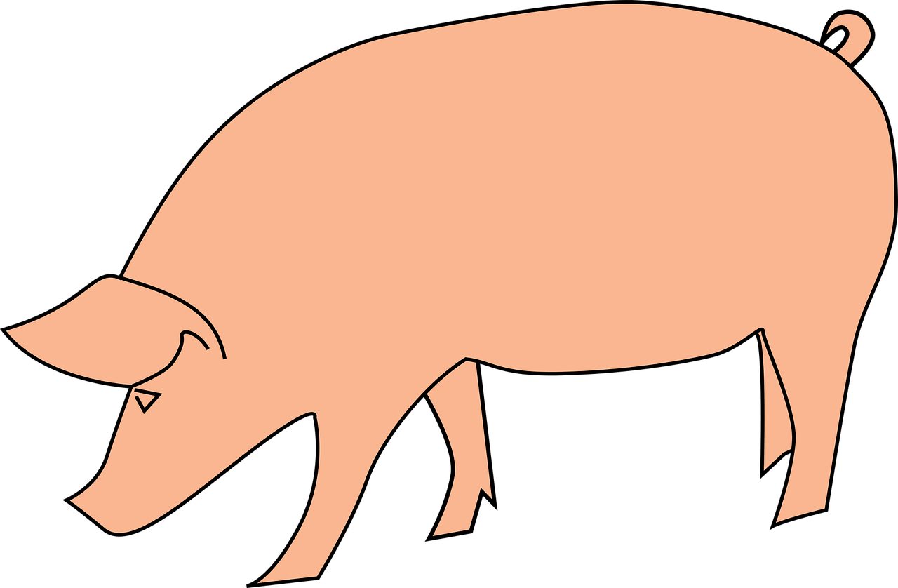 Bavi Gyvuliai, Oink, Kiaulė, Kiaulytė, Kiaulės, Nemokama Vektorinė Grafika, Nemokamos Nuotraukos,  Nemokama Licenzija