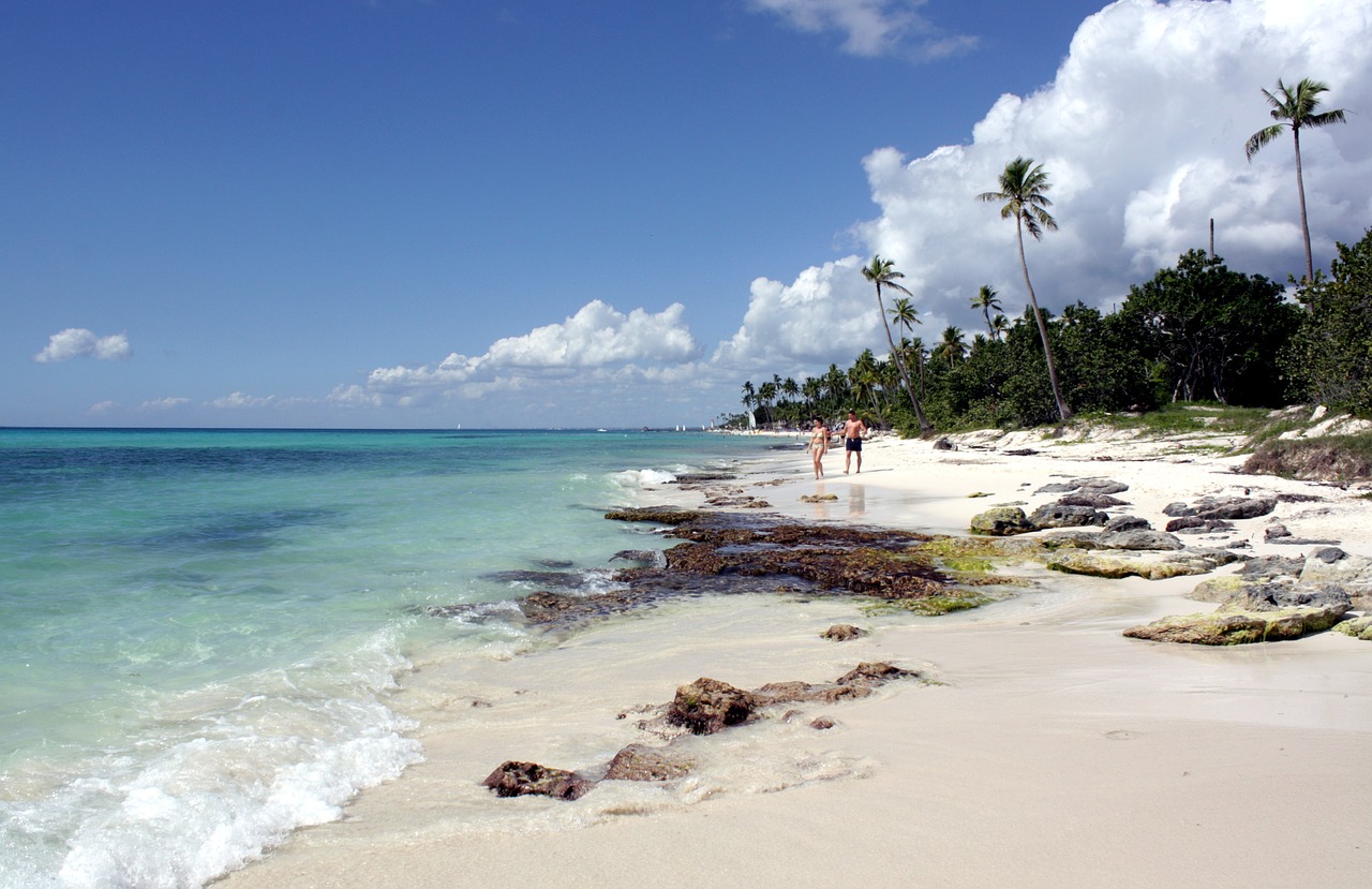 Bayahibe, Rytiniame Nacionaliniame Parke, Parque Nacional Del Este, San Rafael Del Yuma, La Altagracia, Dominikos Respublika, Karibai, Palmių Paplūdimys, Jūra, Атлантический