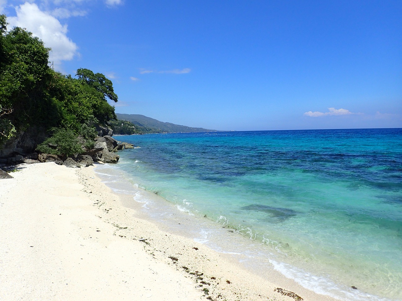 Papludimys, Oslob, Filipinai, Smėlis, Cebu, Nemokamos Nuotraukos,  Nemokama Licenzija