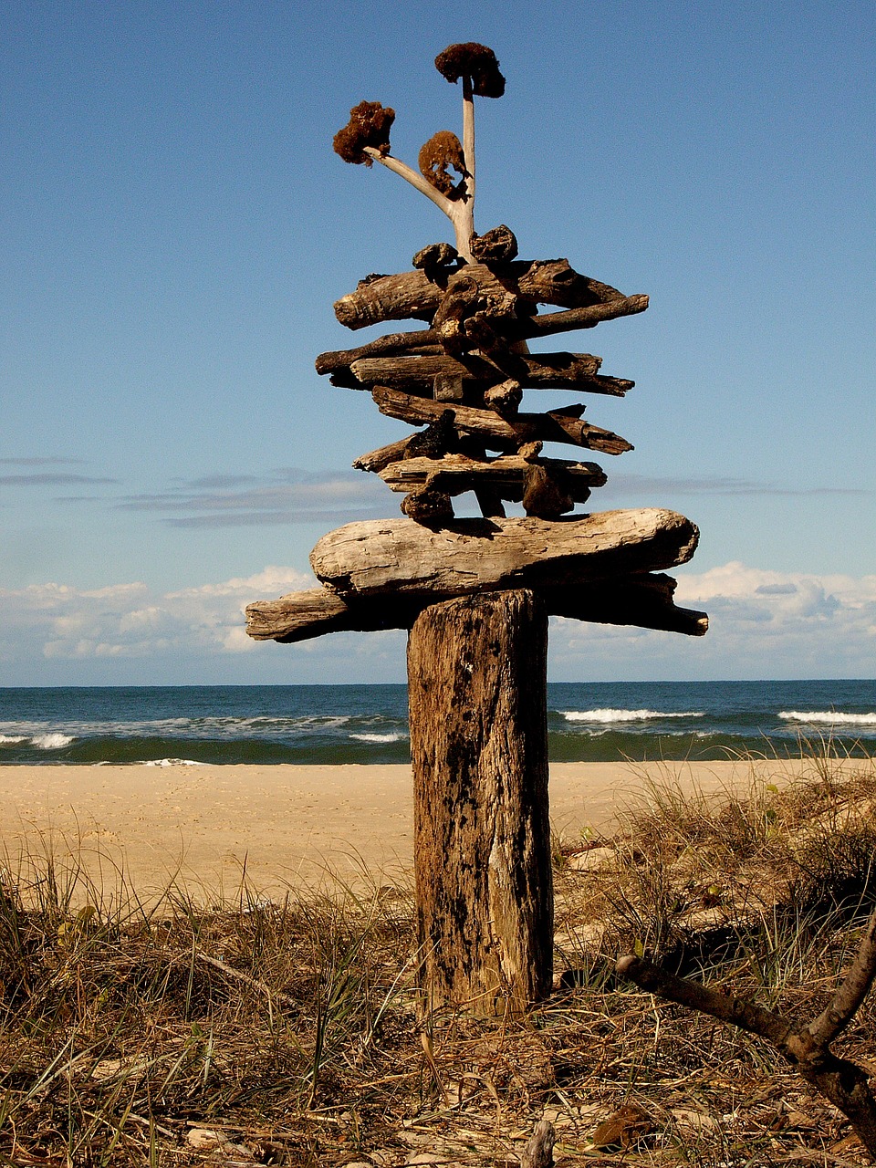 Papludimys, Driftwood, Jūros Dugnas, Menas, Skulptūra, Nemokamos Nuotraukos,  Nemokama Licenzija