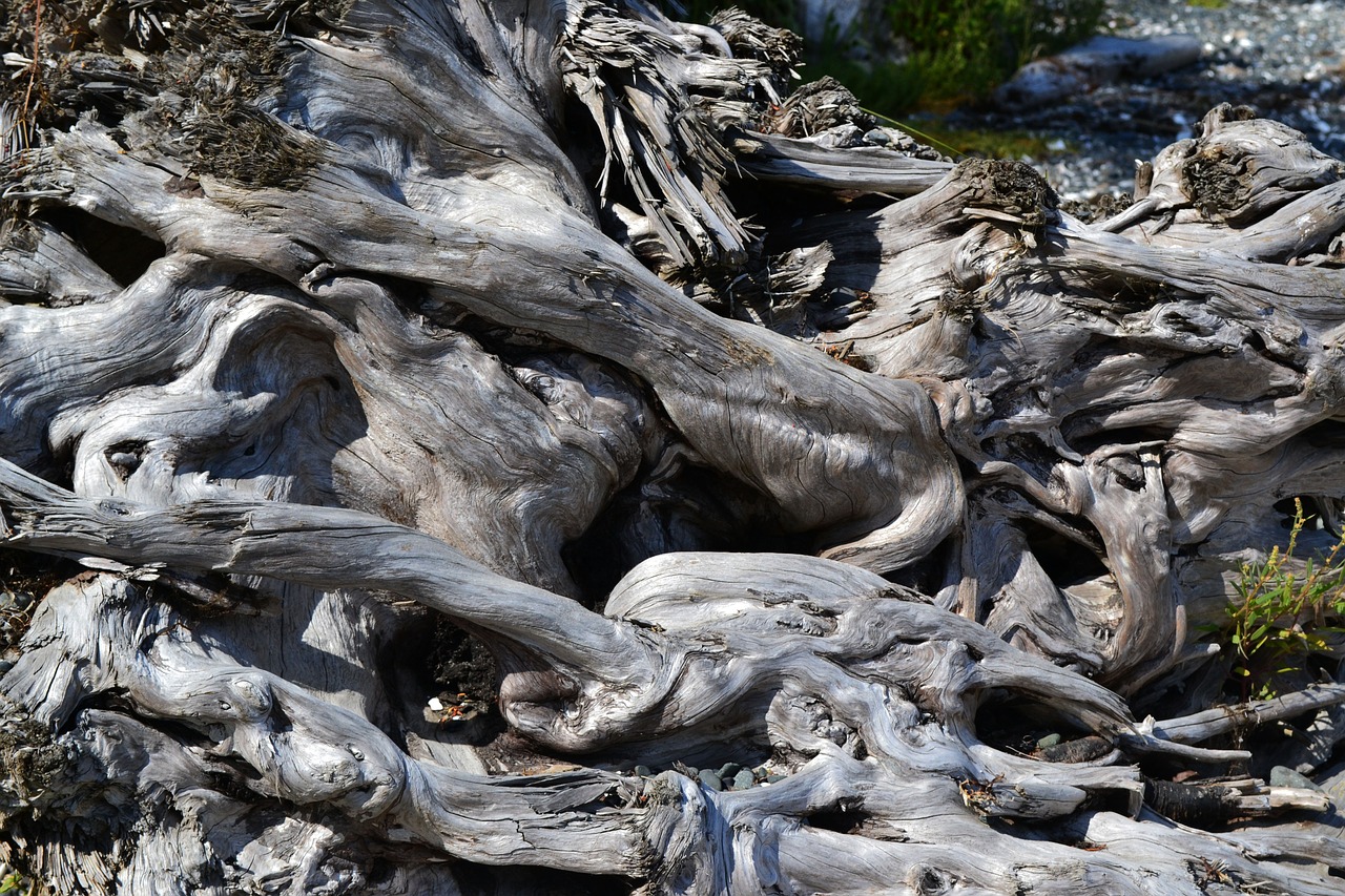 Papludimys, Driftwood, Knotty, Tekstūra, Mediena, Nemokamos Nuotraukos,  Nemokama Licenzija