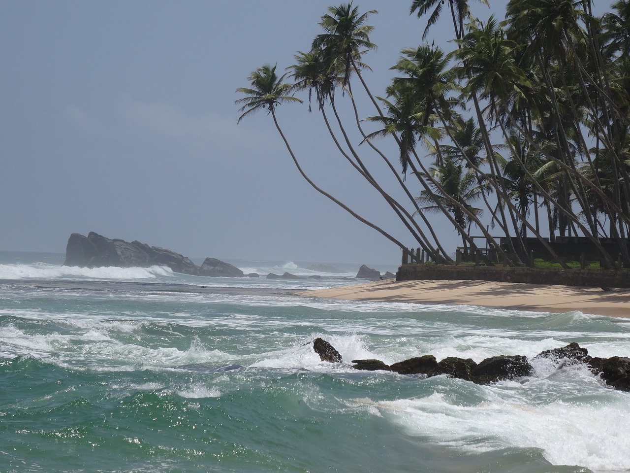 Papludimys, Šri Lanka, Pajūryje, Kokoso, Tropikai, Nemokamos Nuotraukos,  Nemokama Licenzija