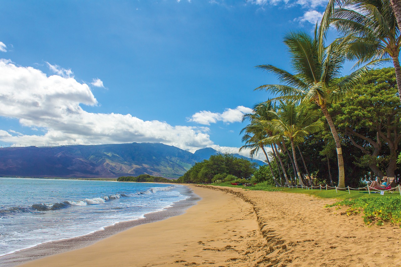 Papludimys, Kraštovaizdis, Hawaii, Maui, Kihei, Smėlis, Delnus, Kalnai, Jūra, Nemokamos Nuotraukos