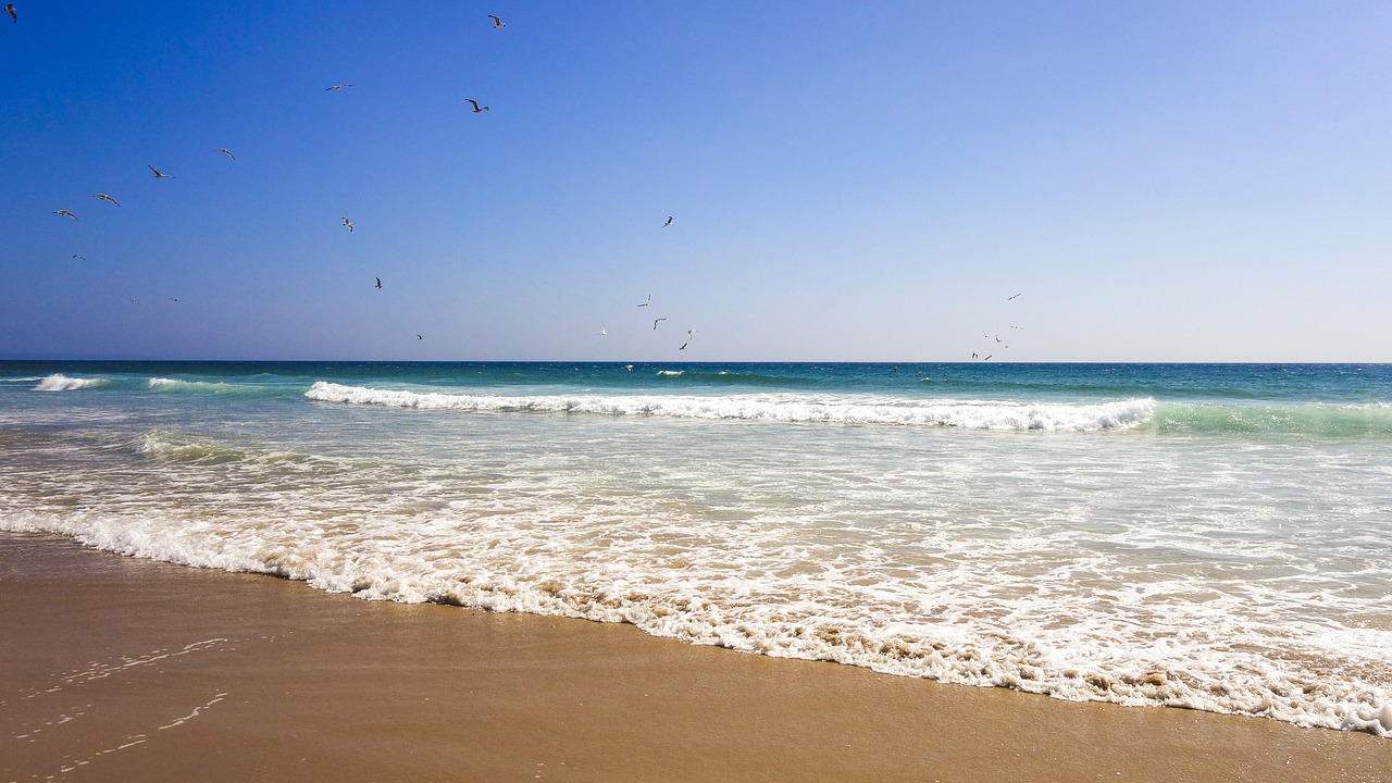 Papludimys, Jūra, Vasara, Šventė, Prie Jūros, Lisbonas, Portugal, Costa Da Caparica, Perspektyva, Kaukolės