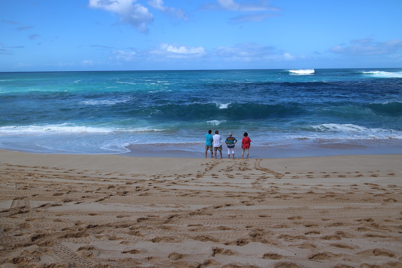 Papludimys, Hawaii, Vasara, Jūra, Smėlis, Atostogos, Vandenynas, Šiaurinis Krantas, Mėlynas, Waikiki