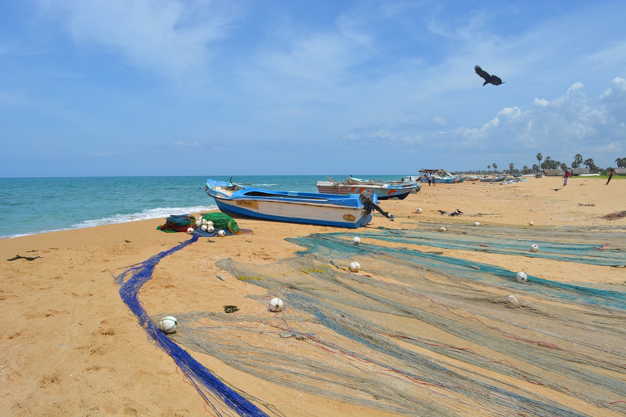 Papludimys, Žvejybos Tinklas, Švarus Dangus, Žvejybos Scenos, Srilanka, Mullaitivu, Nemokamos Nuotraukos,  Nemokama Licenzija