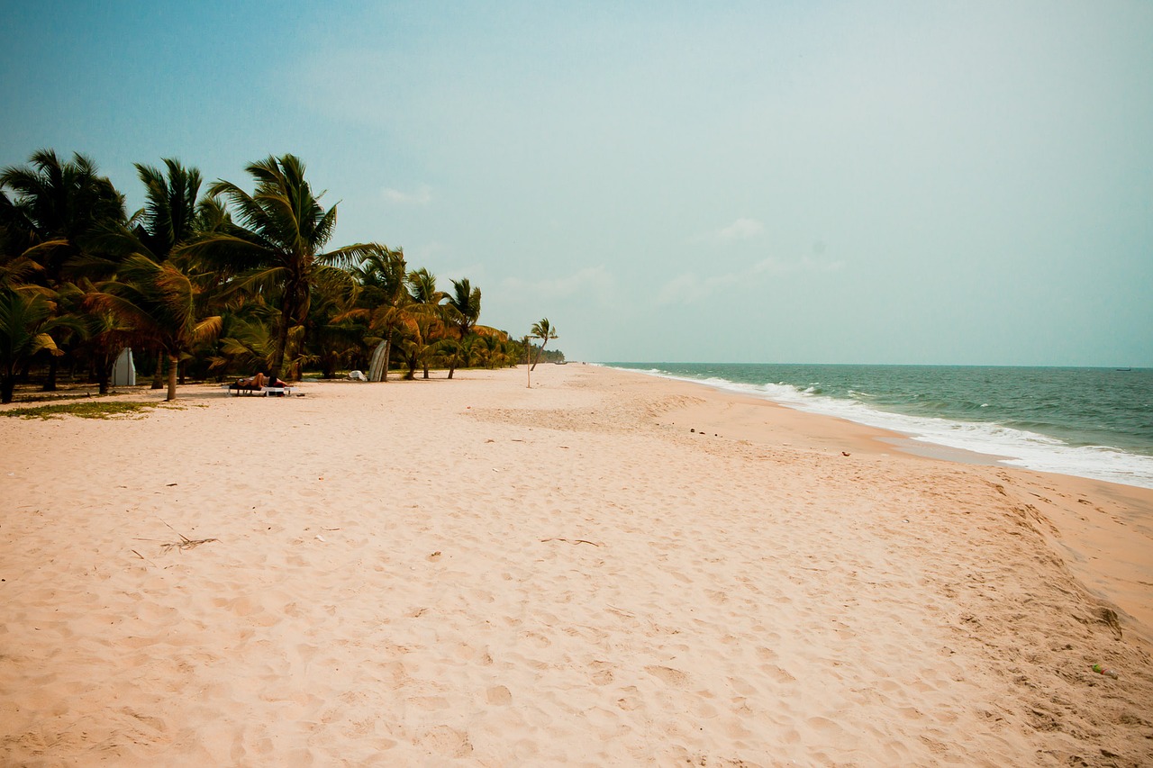 Papludimys, Delnas, Šventė, Smėlio Paplūdimys Indija, Kerala, Nemokamos Nuotraukos,  Nemokama Licenzija