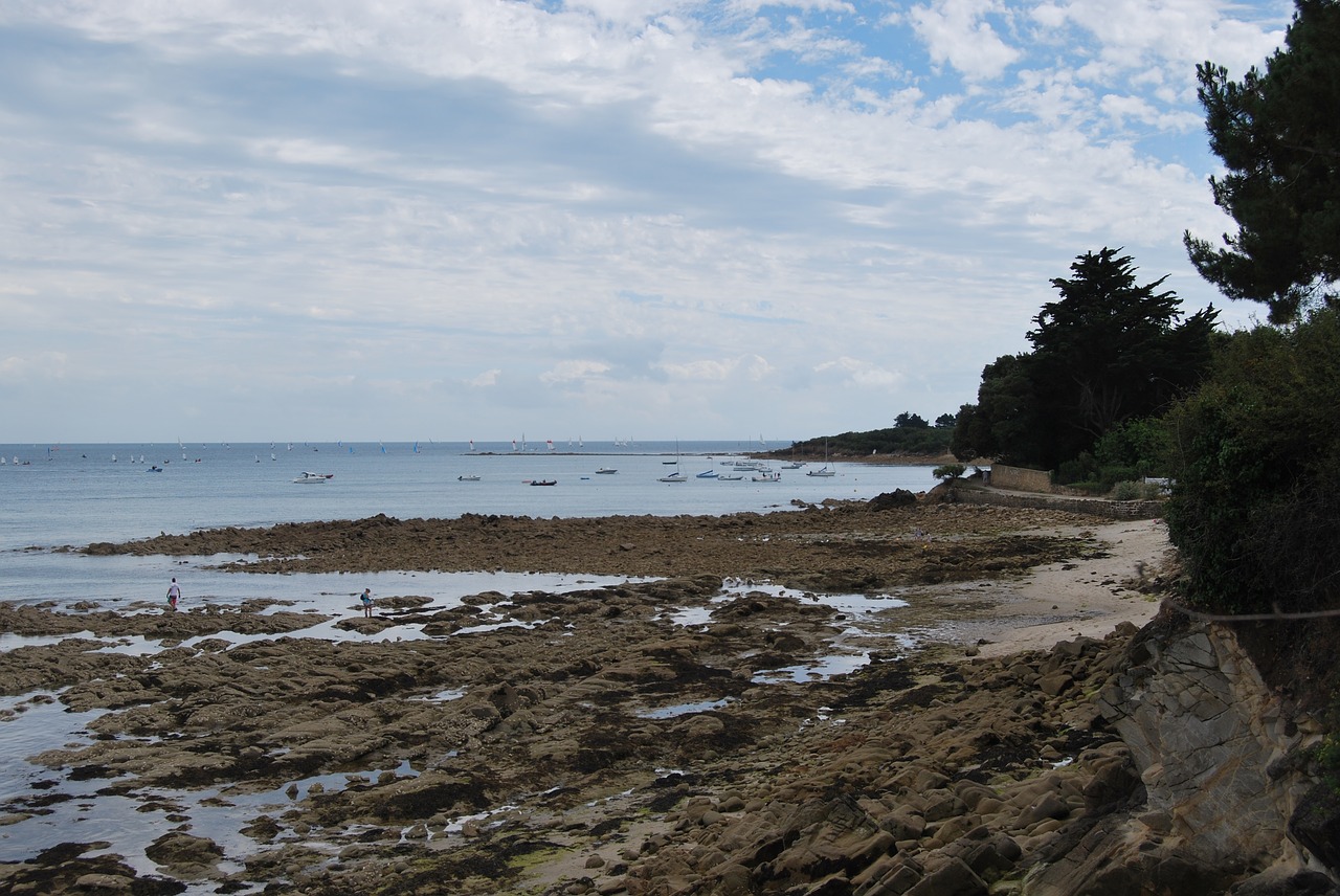 Papludimys, Akmenys, Pusė, Brittany, France, Vandenynas, Nemokamos Nuotraukos,  Nemokama Licenzija