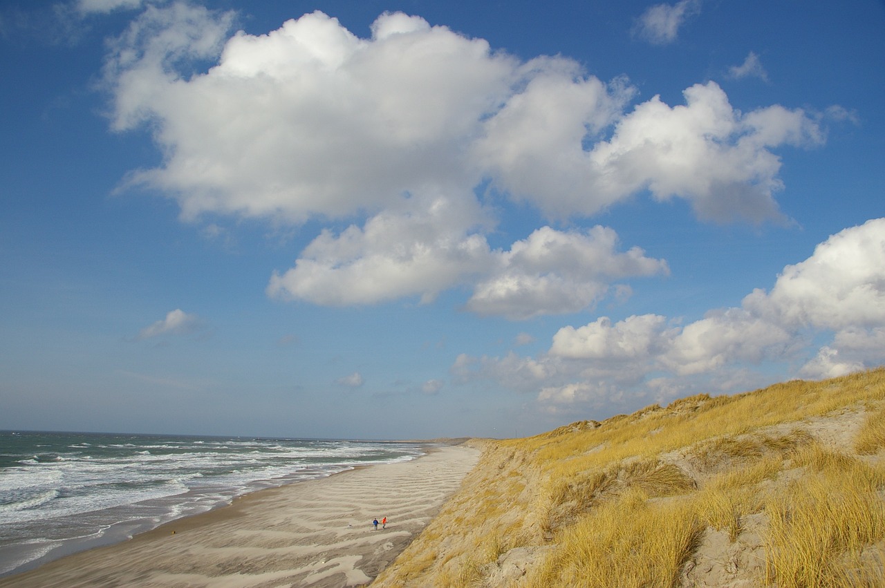 Papludimys, Kopos, Denmark, Nemokamos Nuotraukos,  Nemokama Licenzija