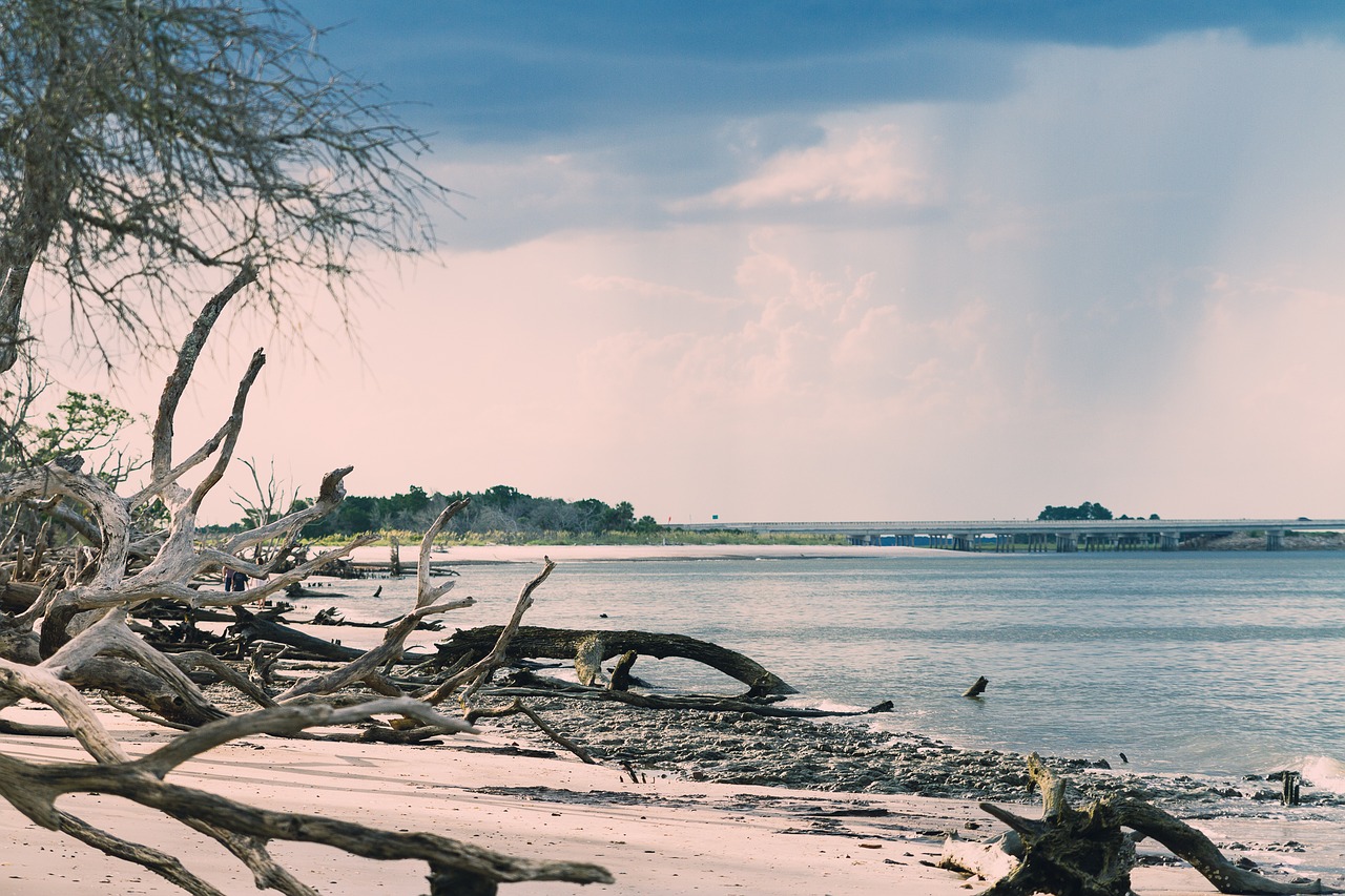 Papludimys, Driftwood, Audros Debesys, Vanduo, Kraštovaizdis, Krantas, Florida, Didelis Talbo Salos Valstybinis Parkas, Nemokamos Nuotraukos,  Nemokama Licenzija