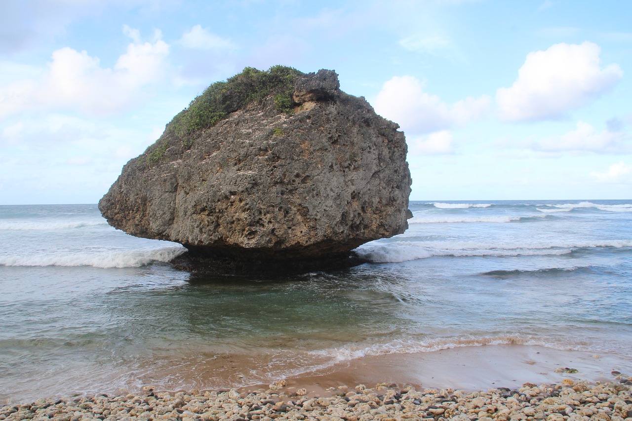 Papludimys, Barbados, Gamta, Rokas, Nemokamos Nuotraukos,  Nemokama Licenzija