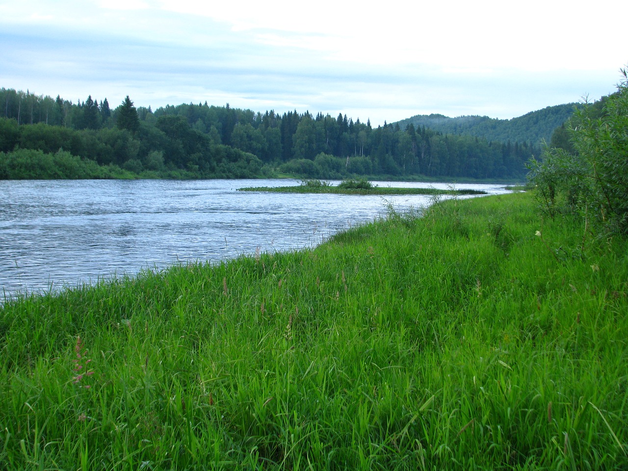 Papludimys, Usva Upė, Dangus, Vasara, Twilight, Medžiai, Kelionė, Miškas, Vanduo, Grožis