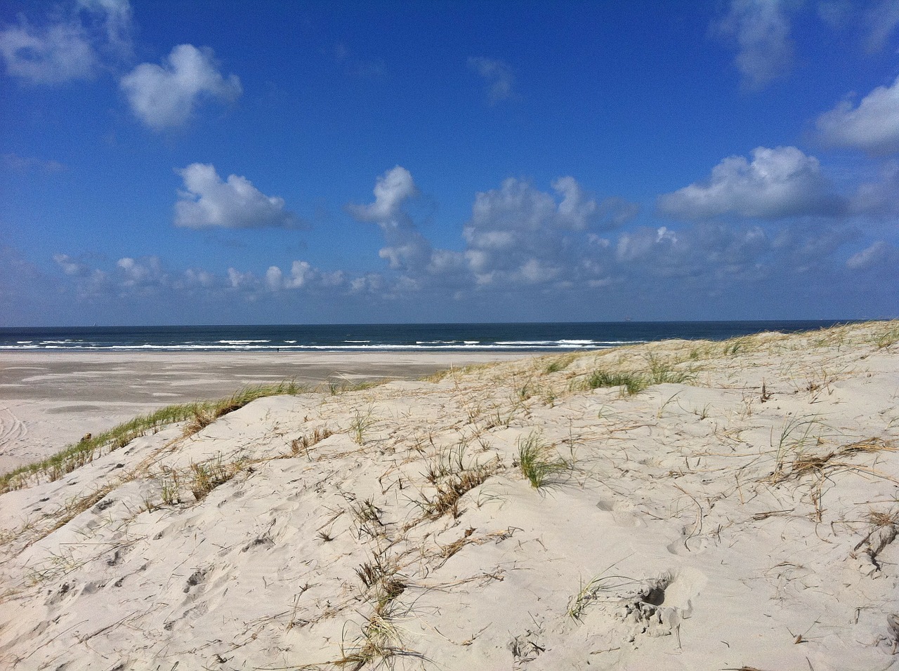 Papludimys, Jūra, Vanduo, Vlieland, Nemokamos Nuotraukos,  Nemokama Licenzija