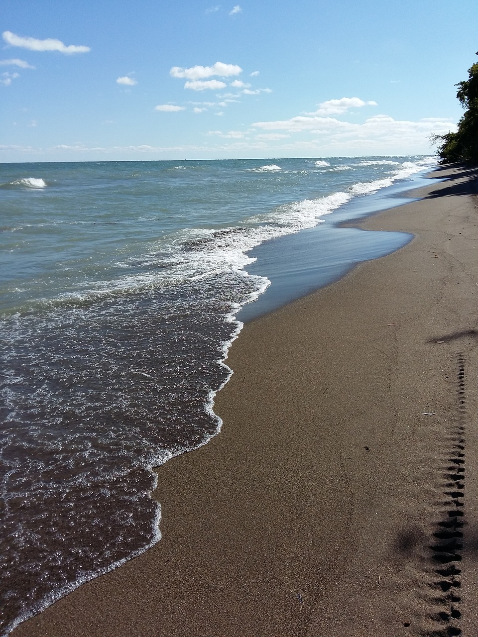 Papludimys, Vanduo, Smėlis, Taškas Pelee Nacionalinis Parkas, Ontarijas, Nemokamos Nuotraukos,  Nemokama Licenzija