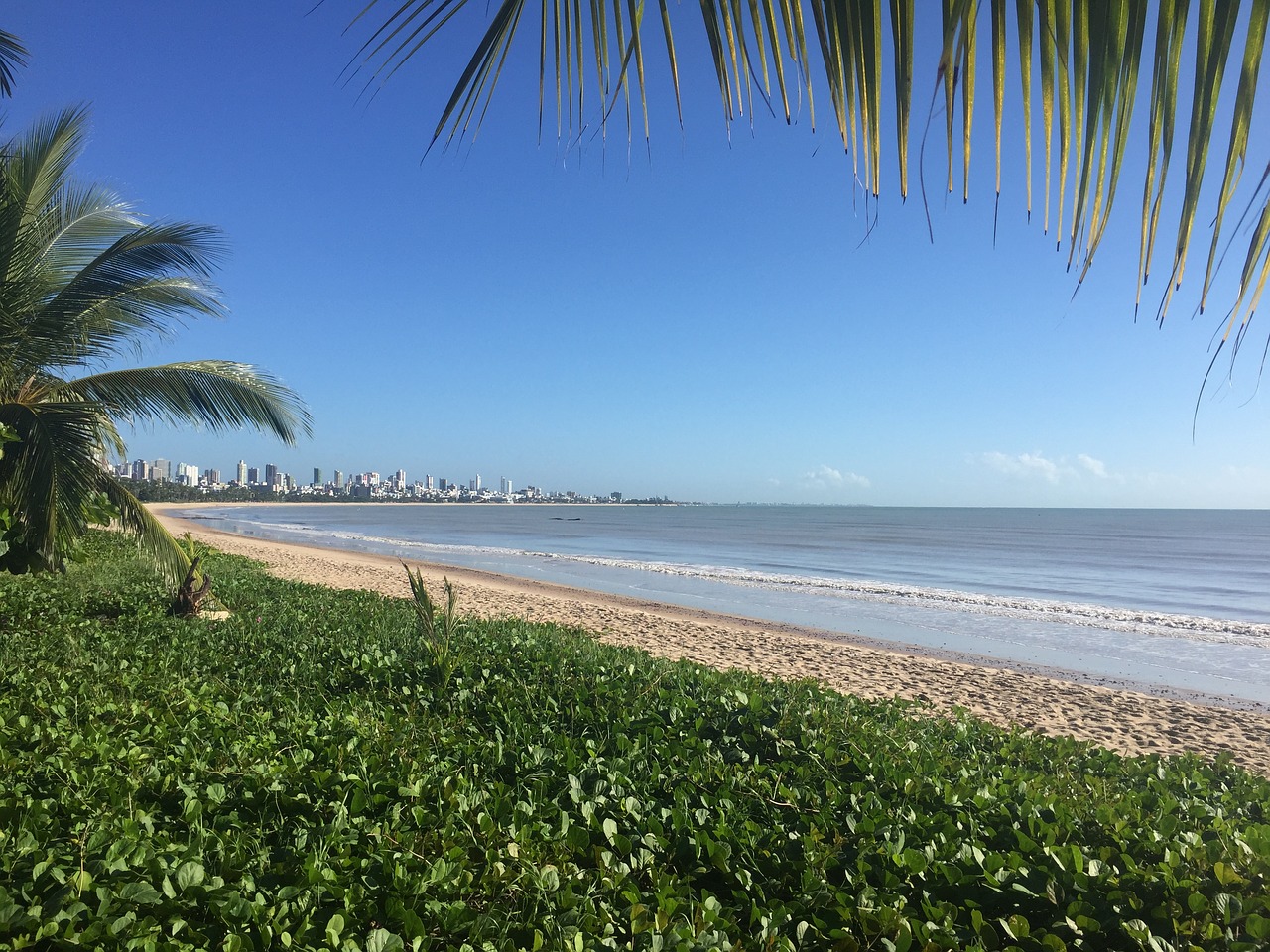 Papludimys, Recife, Mar, Nemokamos Nuotraukos,  Nemokama Licenzija