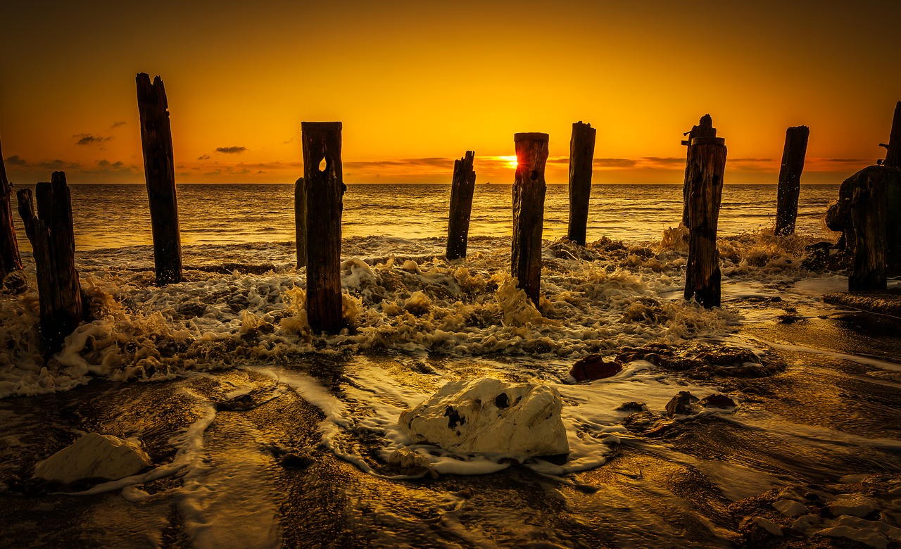 Papludimys,  Pakrantės,  Dawn,  Rytų Ilgumos,  East Yorkshire,  Groynes,  Golden Valandą,  Fonas,  Kraštovaizdis,  Oranžinė