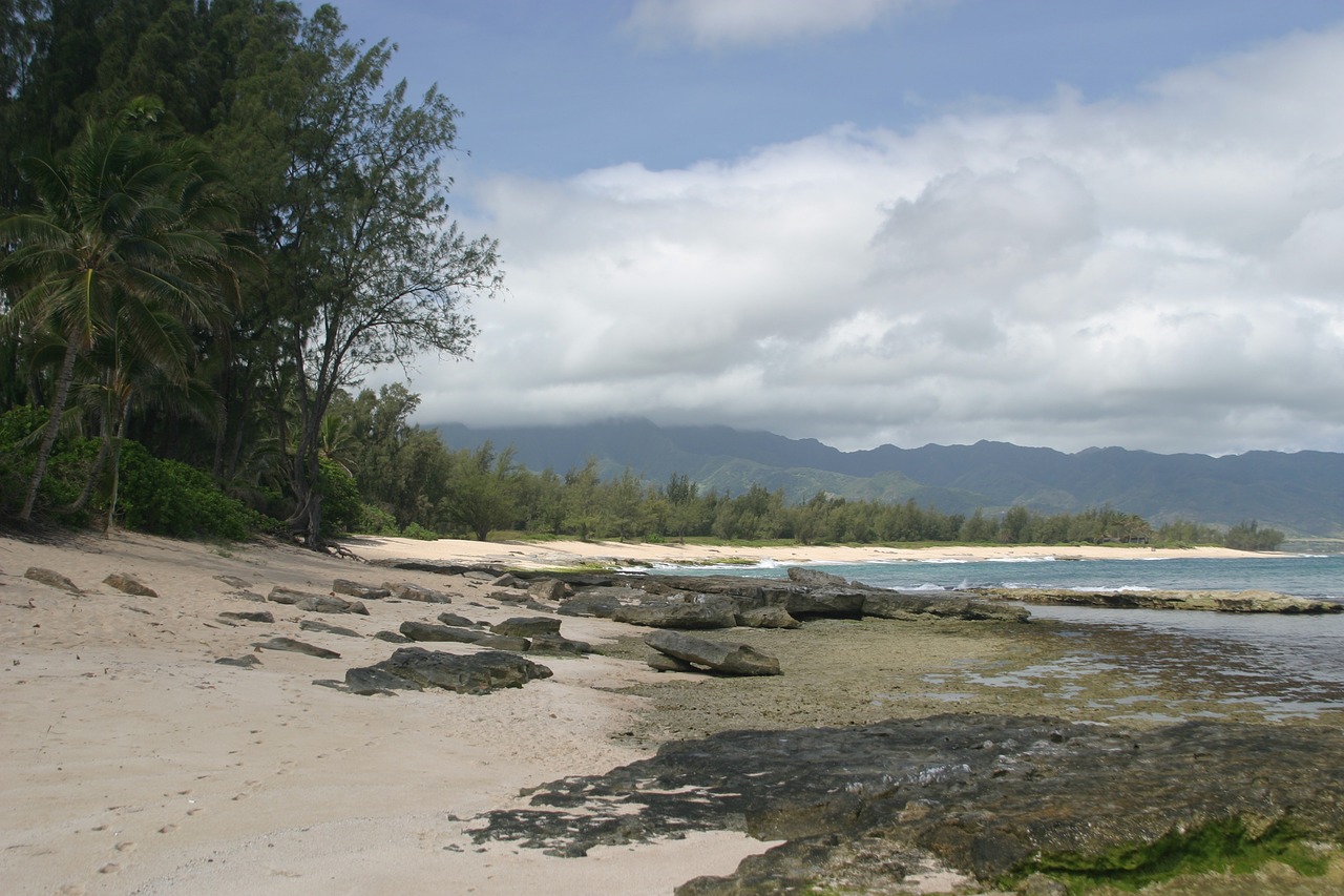 Papludimys,  Vandenynas,  Jūra,  Krantas,  Seascape,  Tropical,  Pakrantė,  Rojus,  Pobūdį,  Dangus