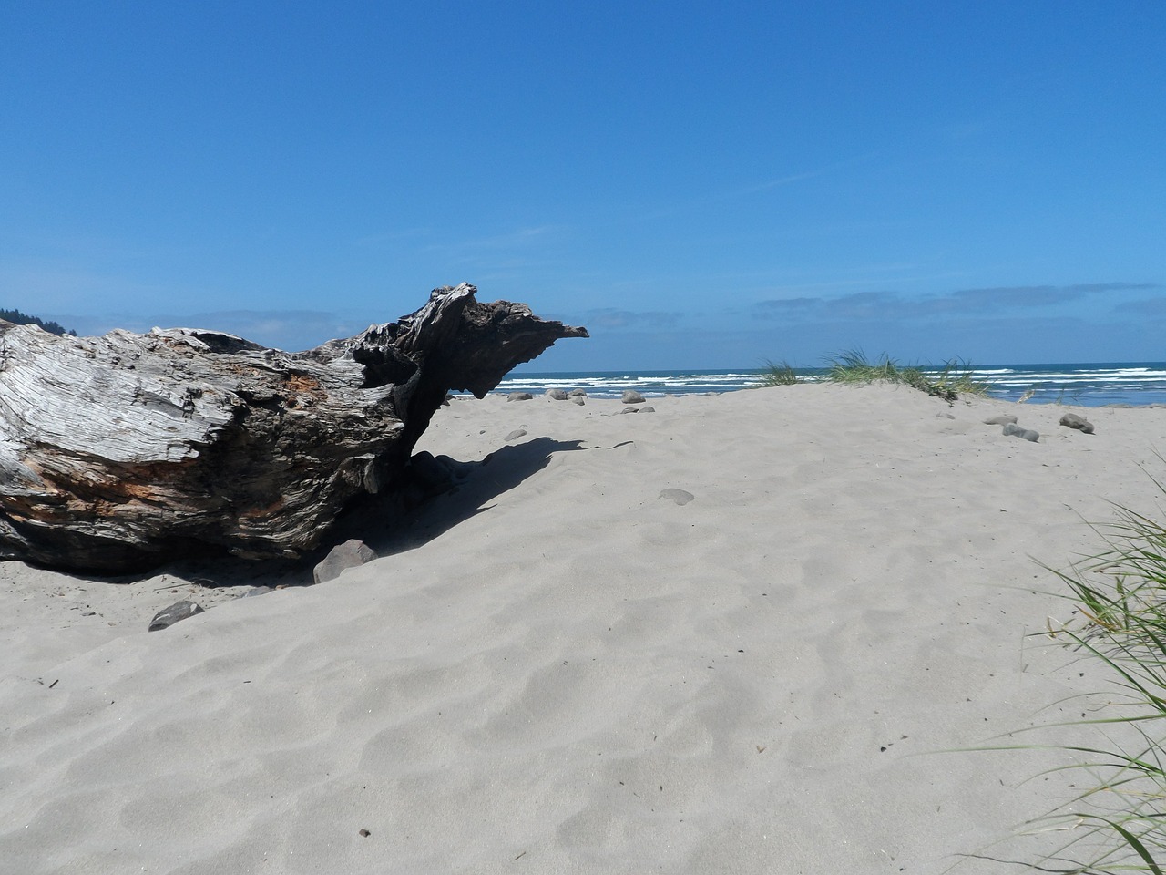 Papludimys, Driftwood, Jūros Vaizdas, Smėlis, Žurnalas, Krantas, Peizažas, Kranto, Ramiojo Vandenyno Regionas, Balinta Dreifuota Mediena