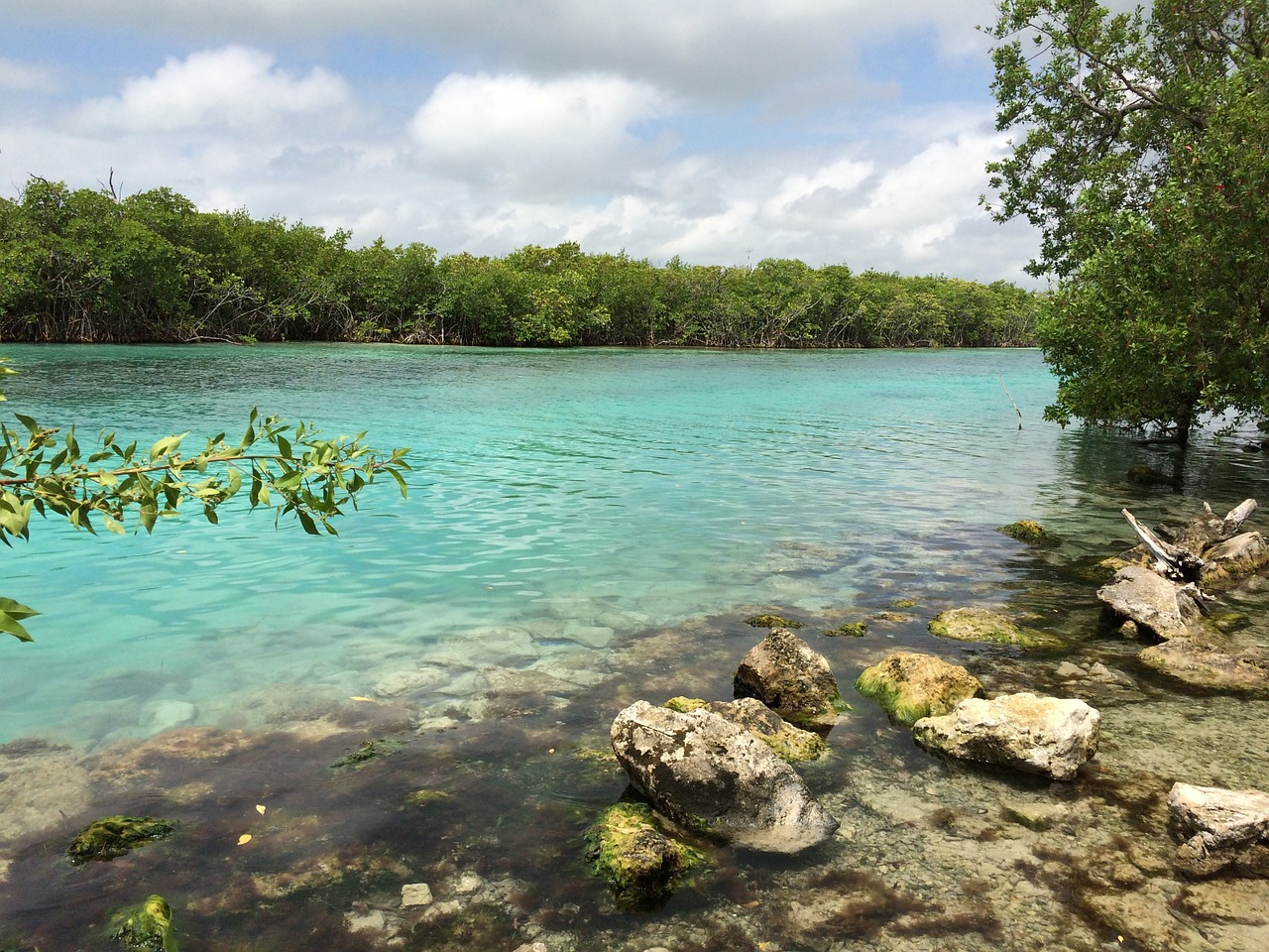 Papludimys, Mar, Cancun, Meksika, Nemokamos Nuotraukos,  Nemokama Licenzija