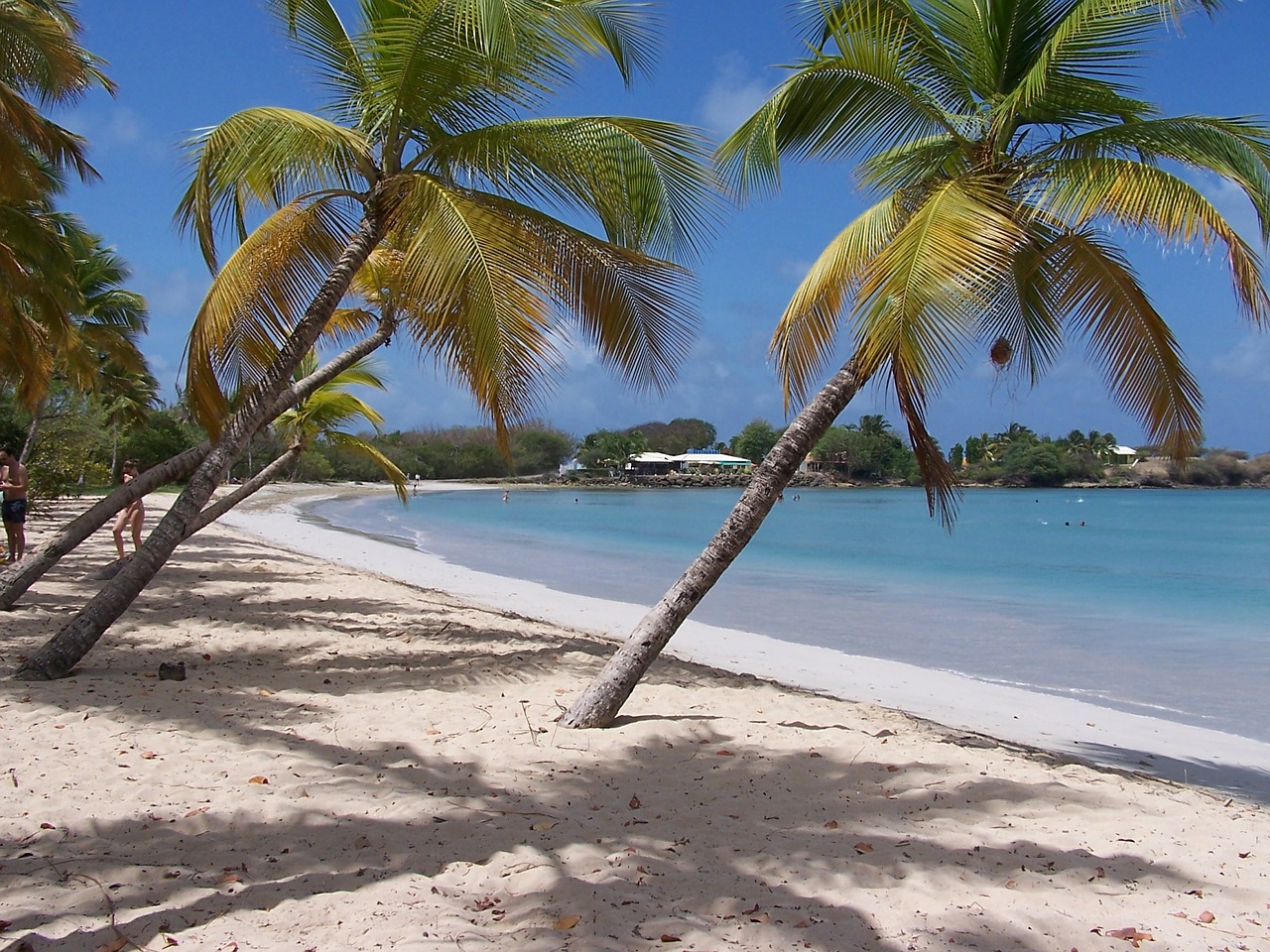 Papludimys, Martinique, Karibai, Prancūzų Kalba, Turizmas, Dangus, Vanduo, Vandenynas, Jūra, Atogrąžų