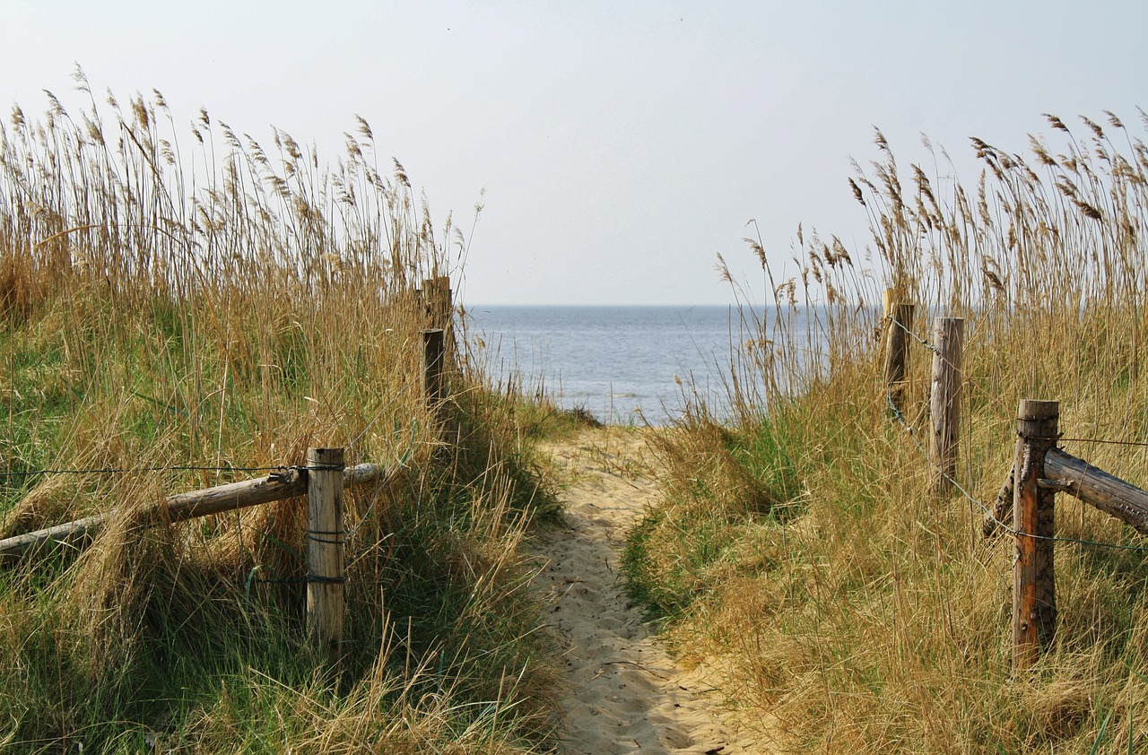 Papludimys, Cuxhaven, Smėlio Kelias, Kopos, Šiaurės Jūra, Jūra, Nemokamos Nuotraukos,  Nemokama Licenzija