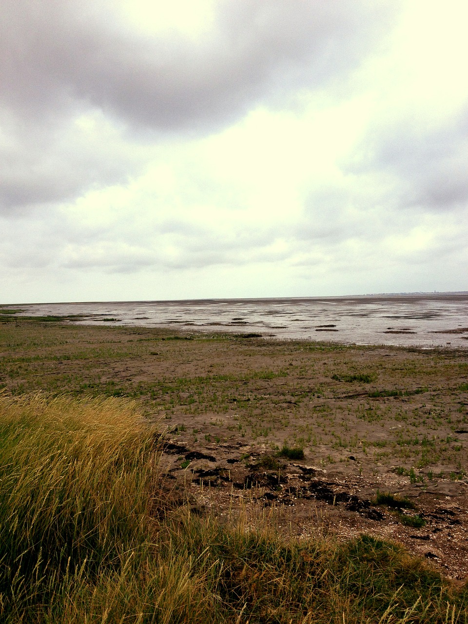 Papludimys, Jūra, Vatai, Šiaurės Jūra, Wadden Jūra, Atoslūgis, Pralaidos Zona, Atsipalaiduoti, Nordfriesland, Žolė