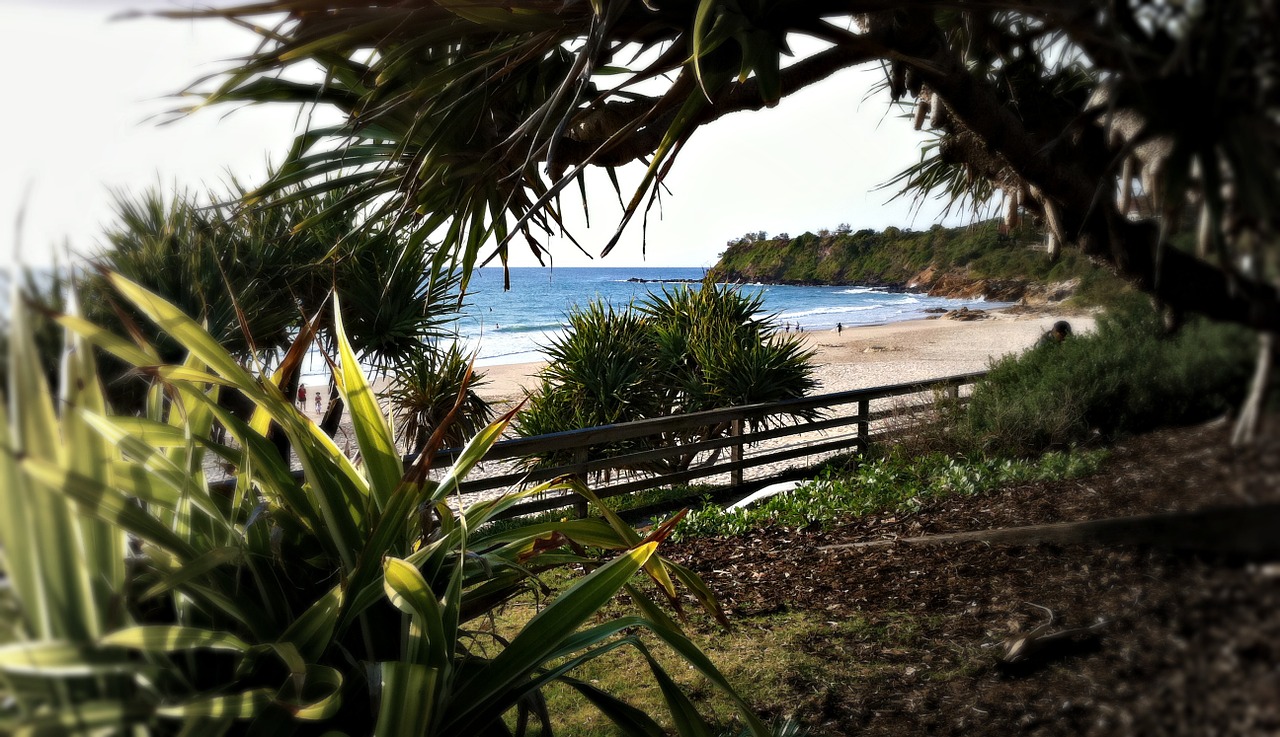 Papludimys, Australia, Coolum, Vanduo, Jūra, Smėlis, Vandenynas, Kelionė, Kranto, Vasara