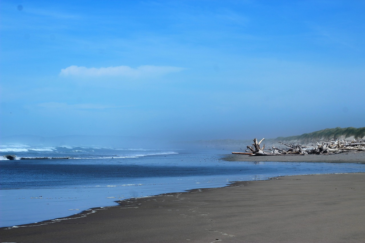 Paplūdimio Dreifuojanti Mediena Vandenynas, Oregonas, Nemokamos Nuotraukos,  Nemokama Licenzija