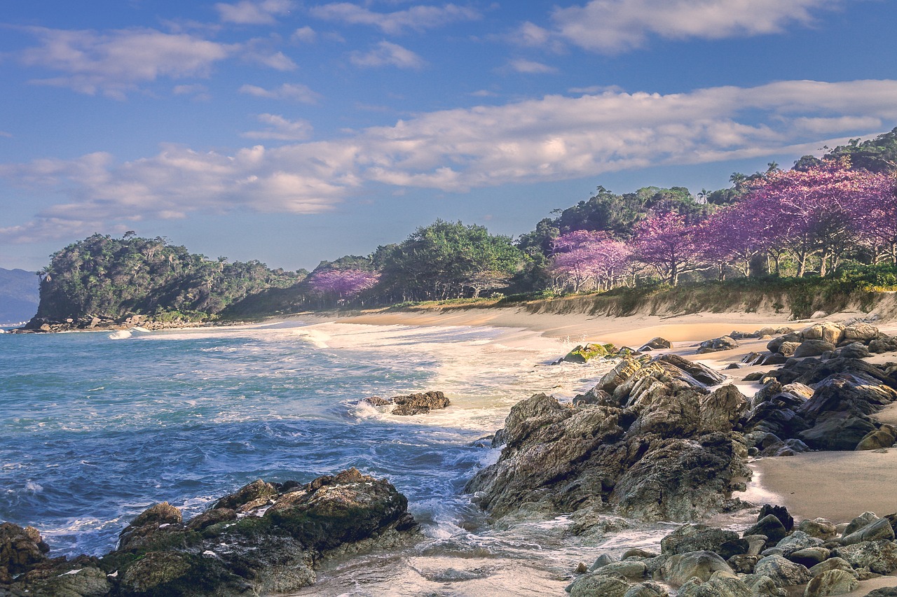 Paplūdimys Stori, Itapema, Santa Catarina, Nemokamos Nuotraukos,  Nemokama Licenzija